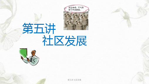 第五讲 社区发展课件