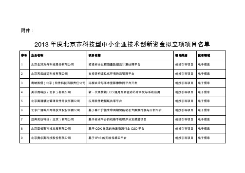 立项项目名单(DOC)