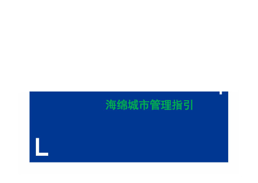 龙湖海绵城市项目管理指引