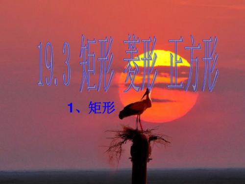 19.3矩形的定义及性质
