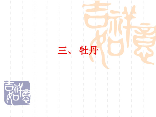 牡丹.ppt