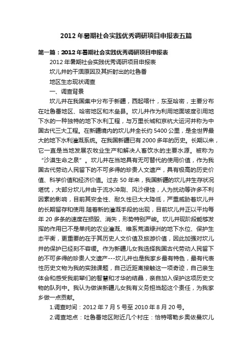2012年暑期社会实践优秀调研项目申报表五篇