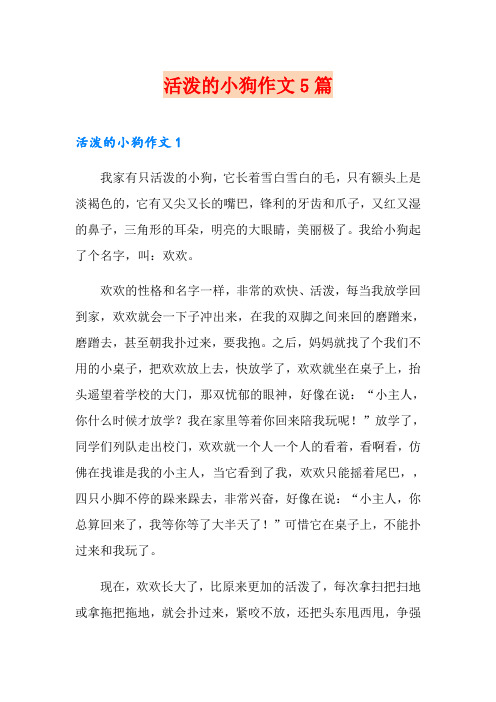 活泼的小狗作文5篇