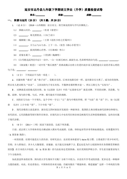 延安市志丹县九年级下学期语文学业(升学)质量检查试卷