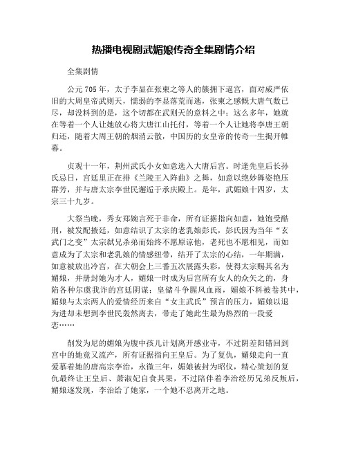 热播电视剧武媚娘传奇全集剧情介绍