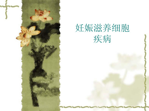 妊娠滋养细胞疾病