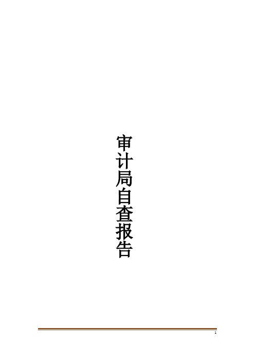 审计局自查报告
