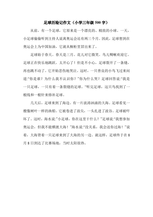足球历险记作文(小学三年级500字).doc
