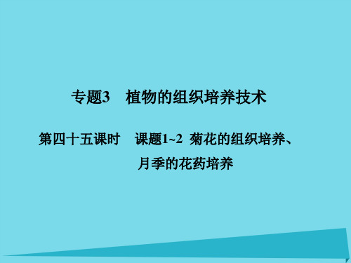 高考高考生物一轮复习-专题三 植物的组织培养技术(第四十五课时)课题1-2 菊花的组织培养、月季的花