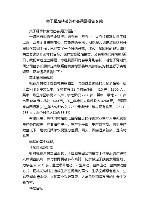 关于精准扶贫的社会调研报告5篇