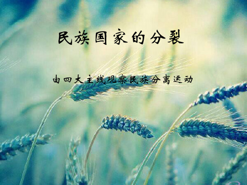 民族国家的分裂