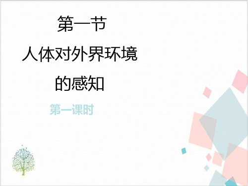 初中生物人教版《人体对外界环境的感知》_完美课件