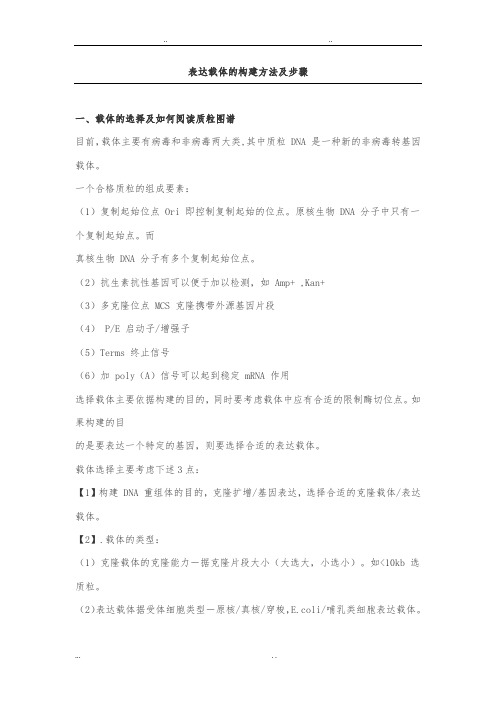 表达载体的构建方法与步骤
