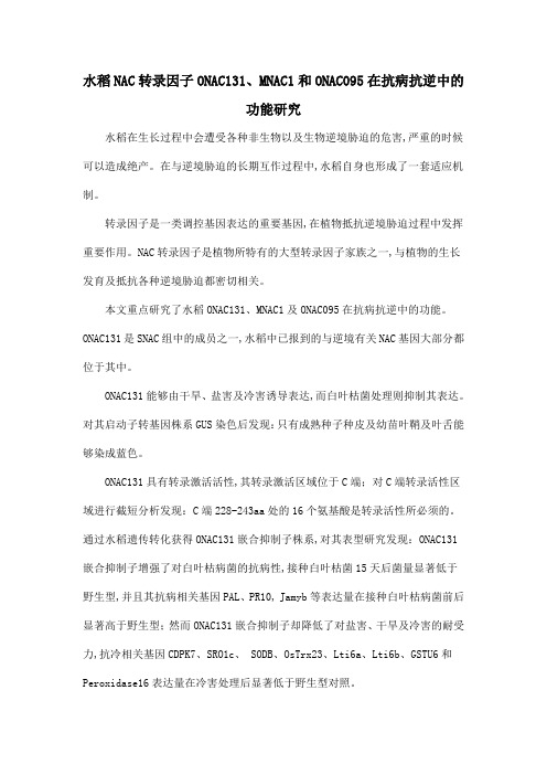 水稻NAC转录因子ONAC131、MNAC1和ONAC095在抗病抗逆中的功能研究