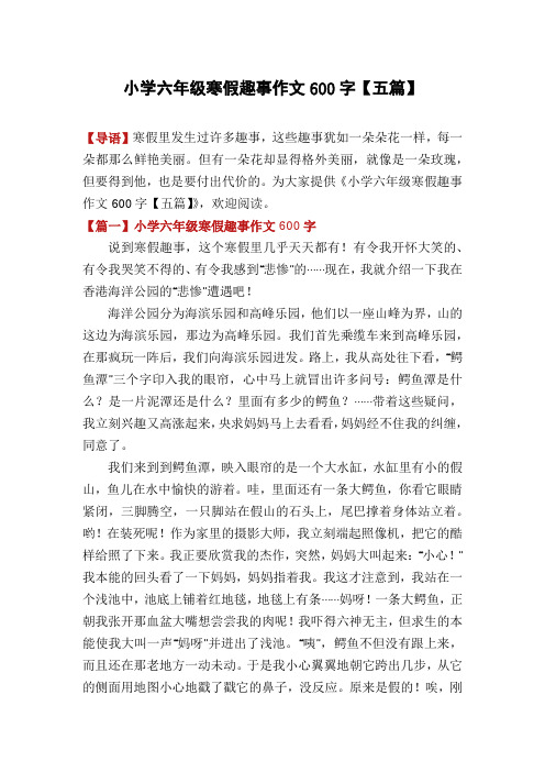 小学六年级寒假趣事作文600字【五篇】