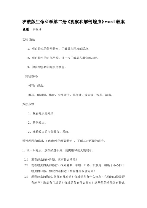 沪教版生命科学第二册《观察和解剖蝗虫》word教案