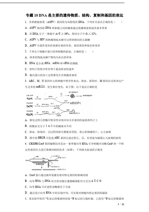 备战2020年高考生物考点突破专题10 DNA是主要的遗传物质、结构、复制和基因的表达(原卷版)