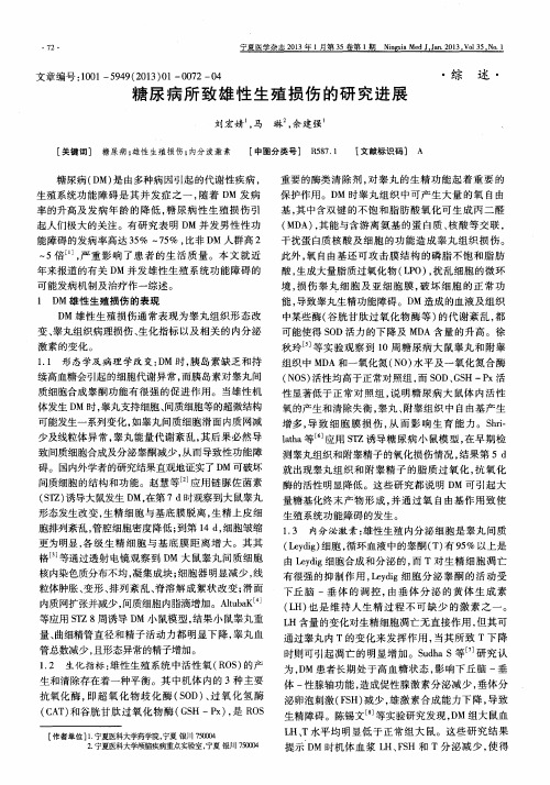 糖尿病所致雄性生殖损伤的研究进展