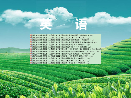 【13份】浙江省2017中考英语(人教版)语法专题课件