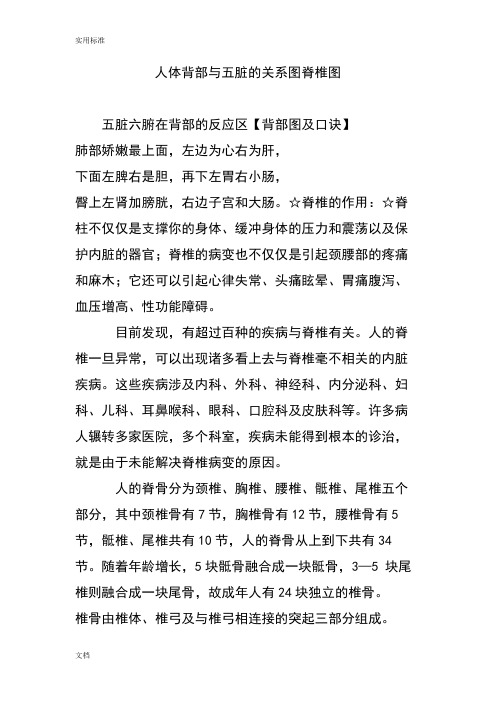 人体背部与五脏地关系图脊椎图