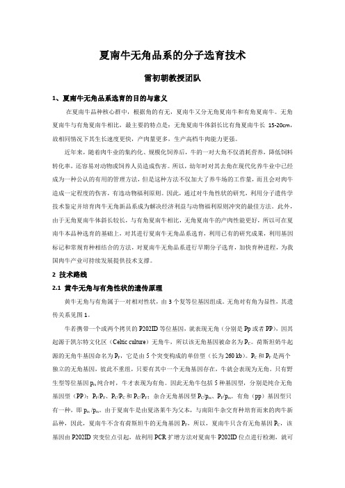 夏南牛无角品系的分子选育技术-国家肉牛牦牛产业技术体系