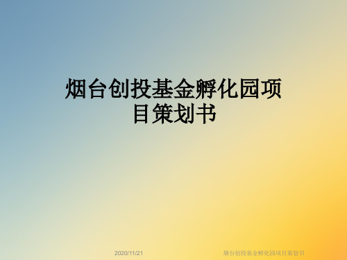 烟台创投基金孵化园项目策划书