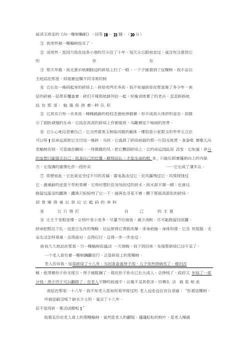 王崇亚《向一棵树鞠躬》阅读练习及答案