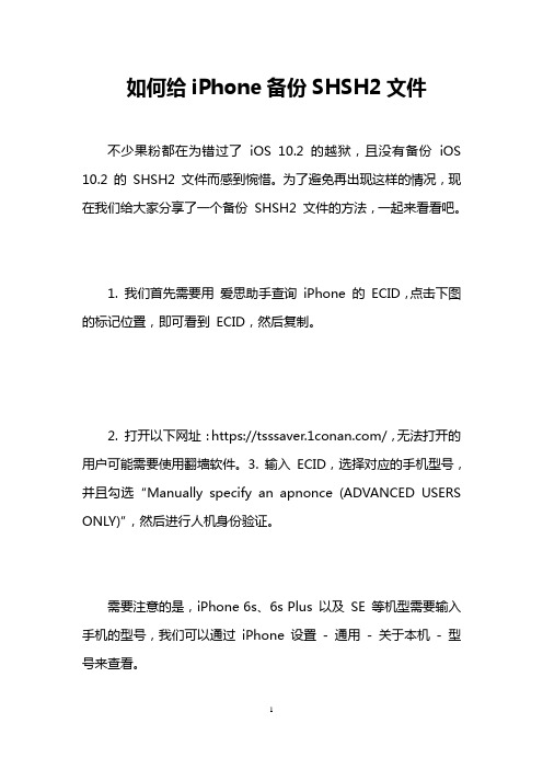 如何给iPhone备份SHSH2文件