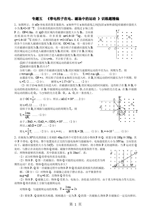 安徽芜湖一中高三理科实验班物理第二轮专题复习精品讲义(五)