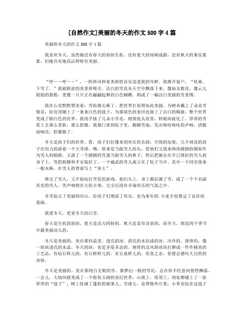 [自然作文]美丽的冬天的作文500字4篇