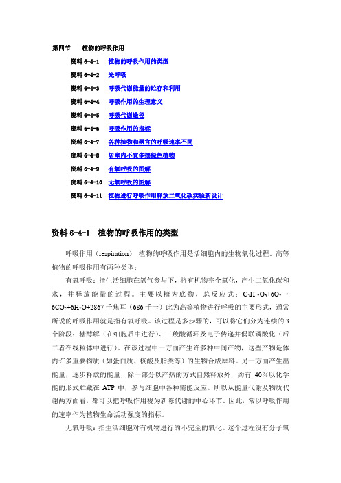 植物的呼吸作用