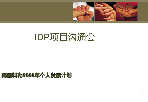IDP项目沟通会PPT课件