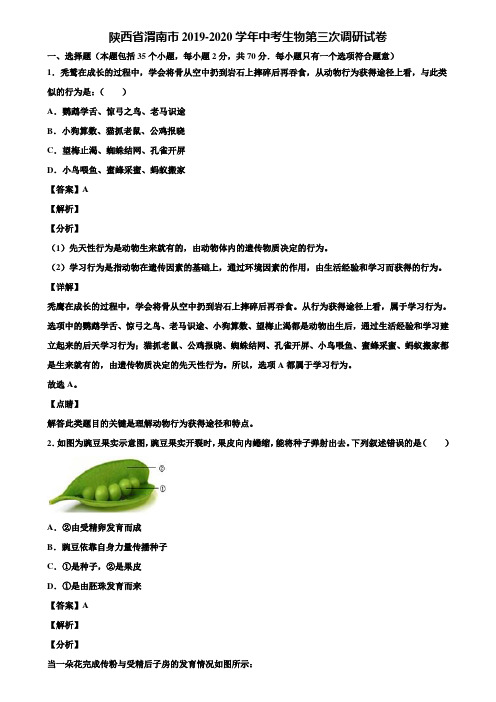 陕西省渭南市2019-2020学年中考生物第三次调研试卷含解析