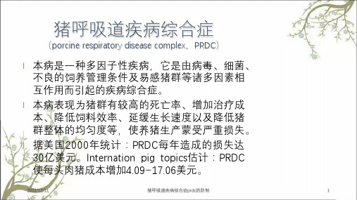 猪呼吸道疾病综合症prdc的防制