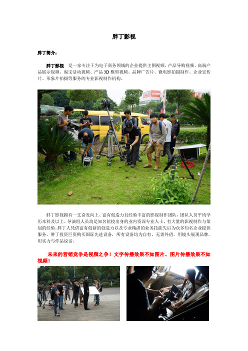胖丁影视