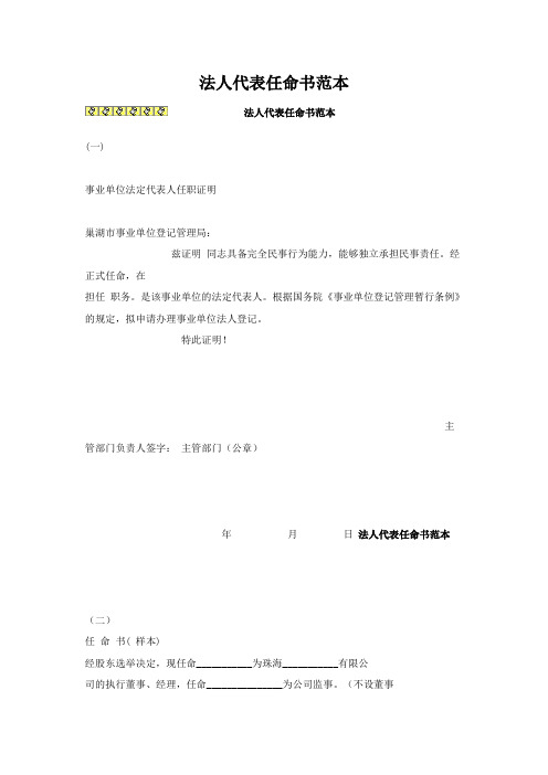 法人代表任命书范本1