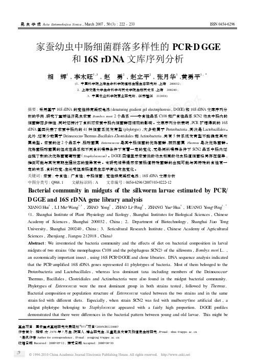 家蚕幼虫中肠细菌群落多样性的PC_省略_GE和16SrDNA文库序列分析_相辉