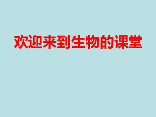 北师大版七年级上册生物课件 3.6.1 种子萌发形成幼苗  (共21张PPT)