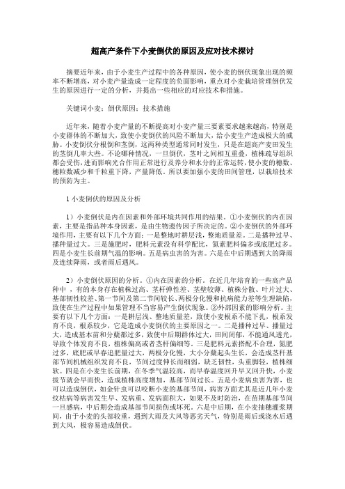 超高产条件下小麦倒伏的原因及应对技术探讨