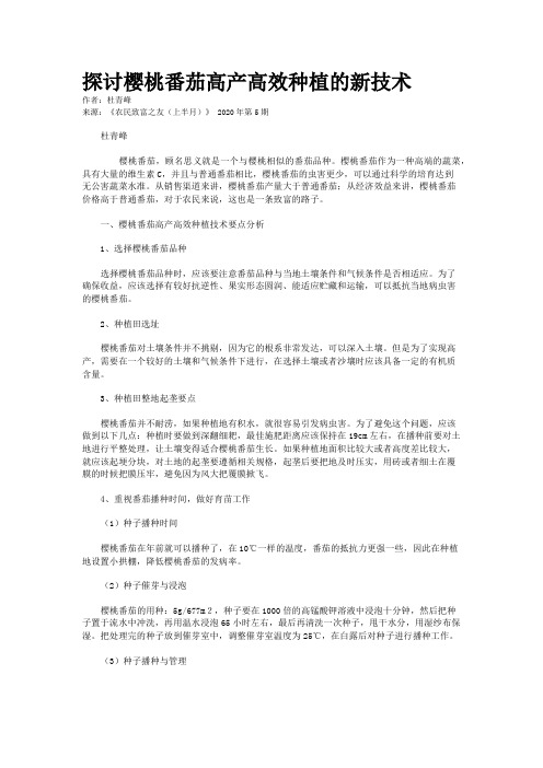 探讨樱桃番茄高产高效种植的新技术