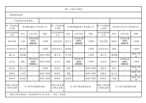 表1中标公示附表一废标情况说明