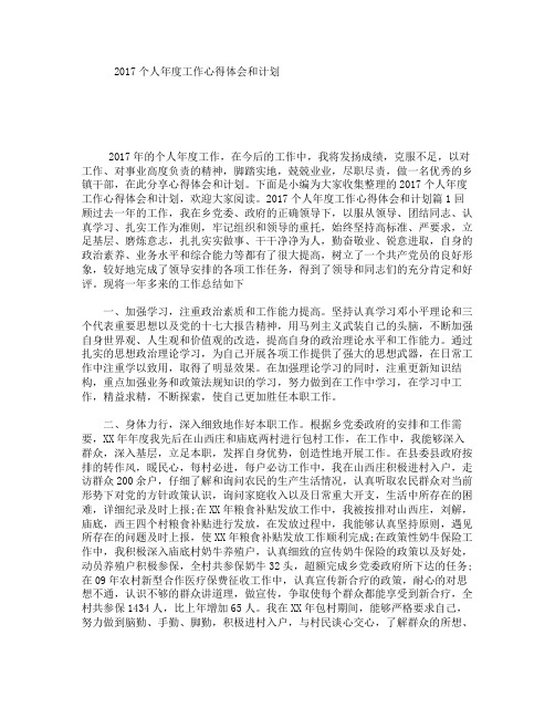 2017个人年度工作心得体会和计划