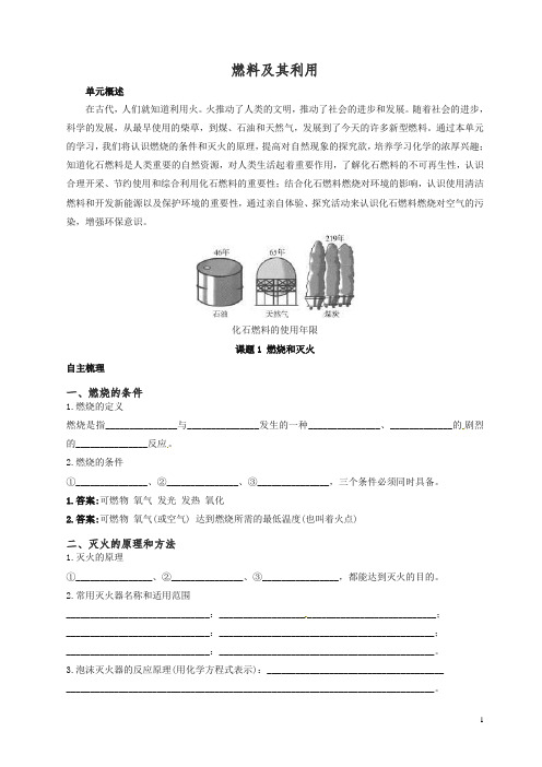 新人教版中考化学复习精品 燃料及其利用.doc