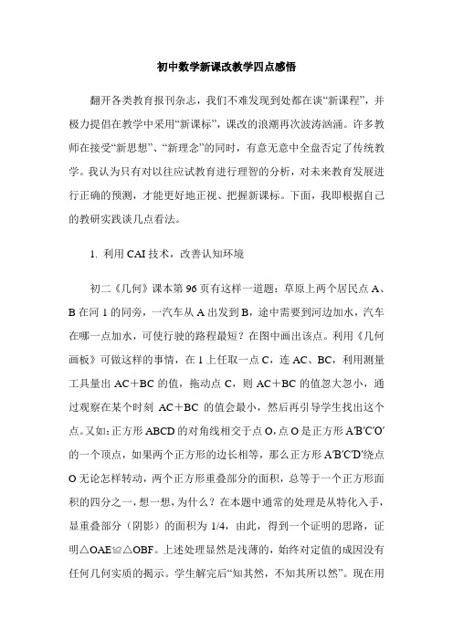 初中数学新课改教学四点感悟