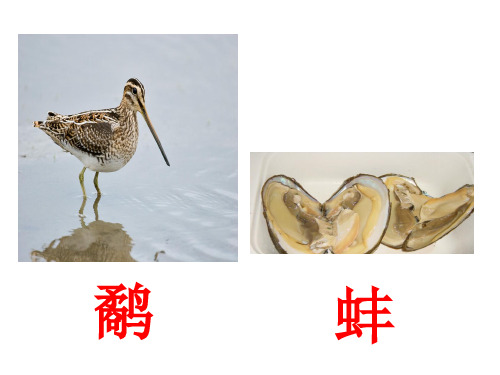 苏教版三年级语文下册《鹬蚌相争》课件