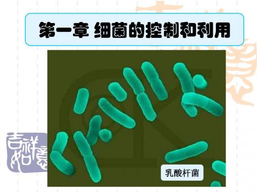 细菌的控制和利用