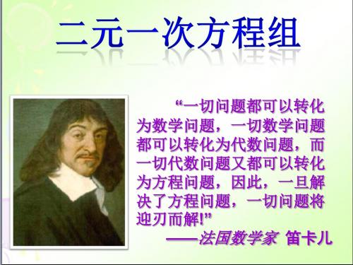 二元一次方程组 (课件)