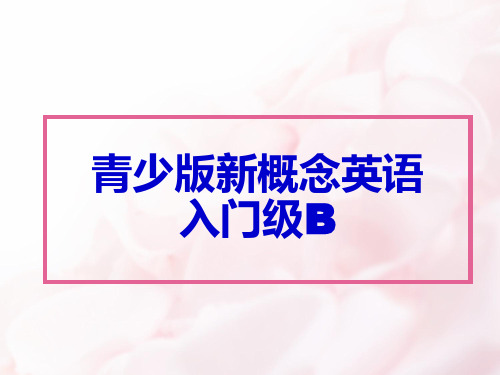 青少版新概念入门级B unit 1ppt课件