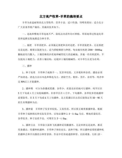 北方高产牧草-羊草的栽培要点