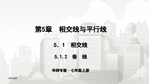 华师版七年级初一数学上册 5.1相交线 5.1.2垂线